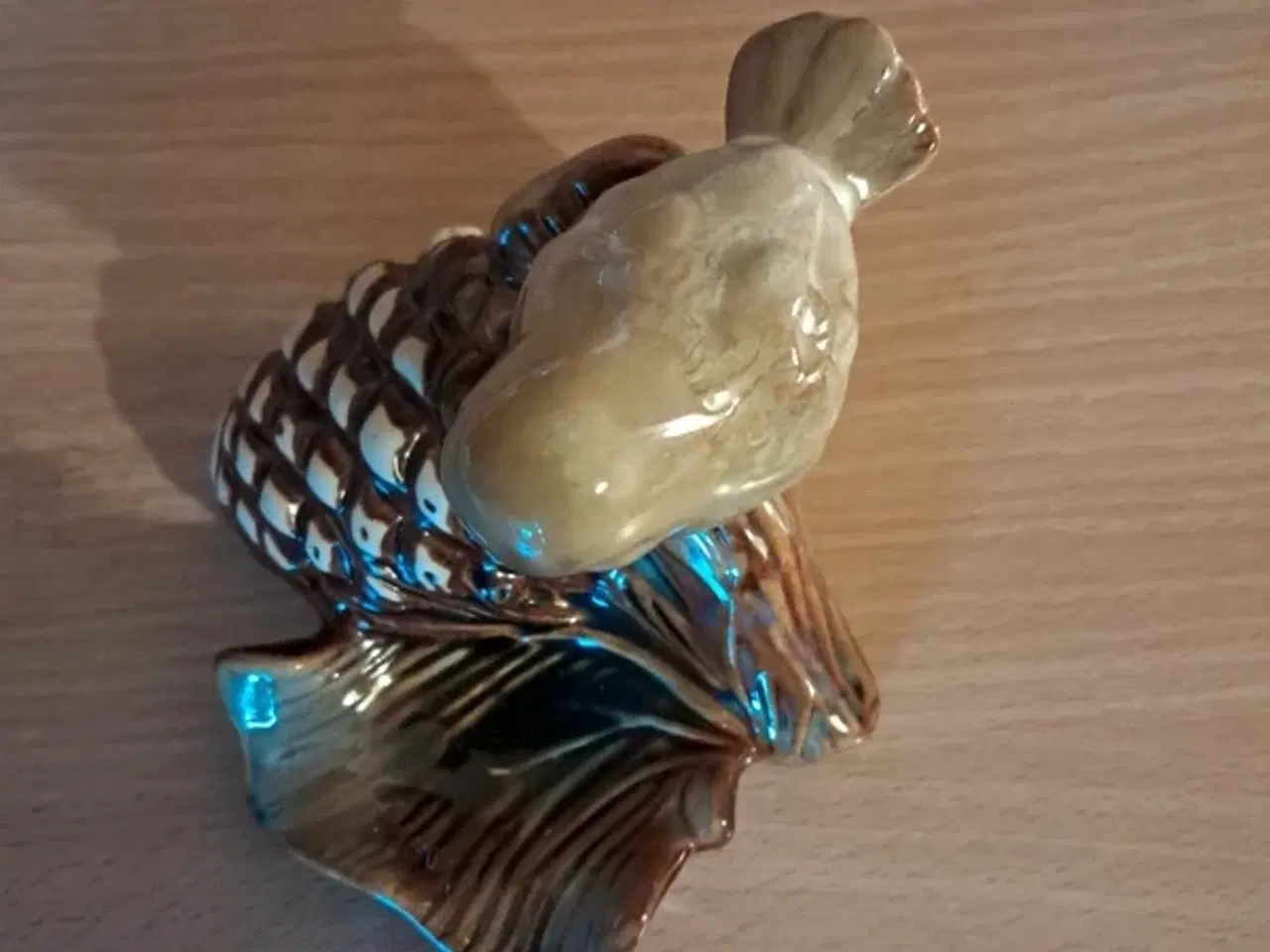 Billede 6 - Fugl på kogle