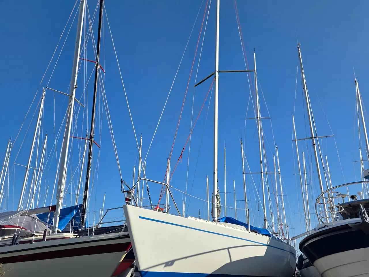 Billede 1 - Albin Express, 26 fod