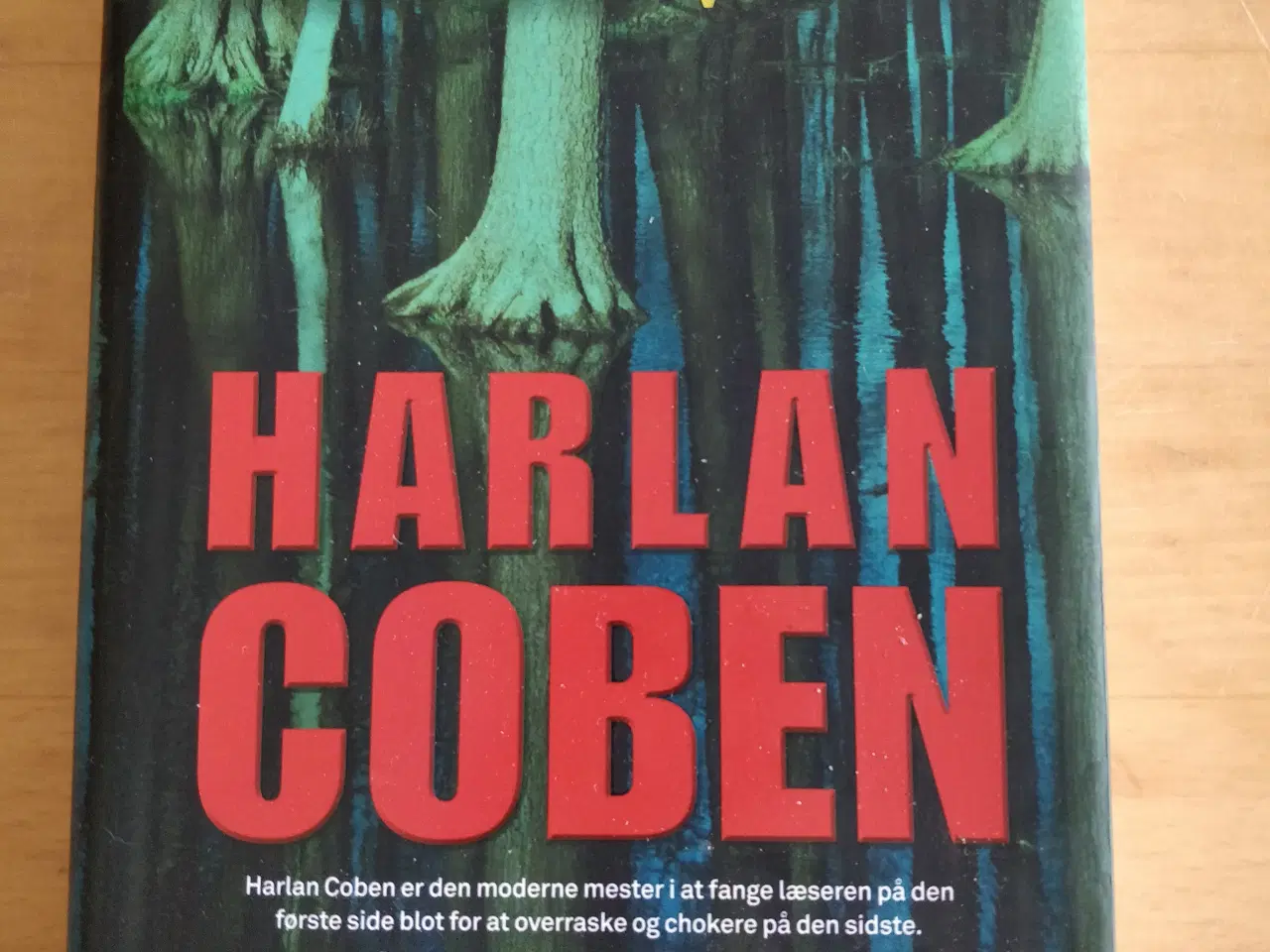 Billede 1 - I skoven, Harlan Coben