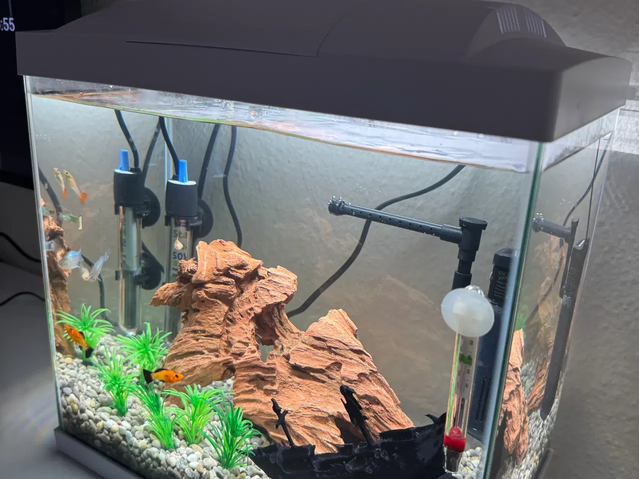 Billede 6 - Akvarie med fisk