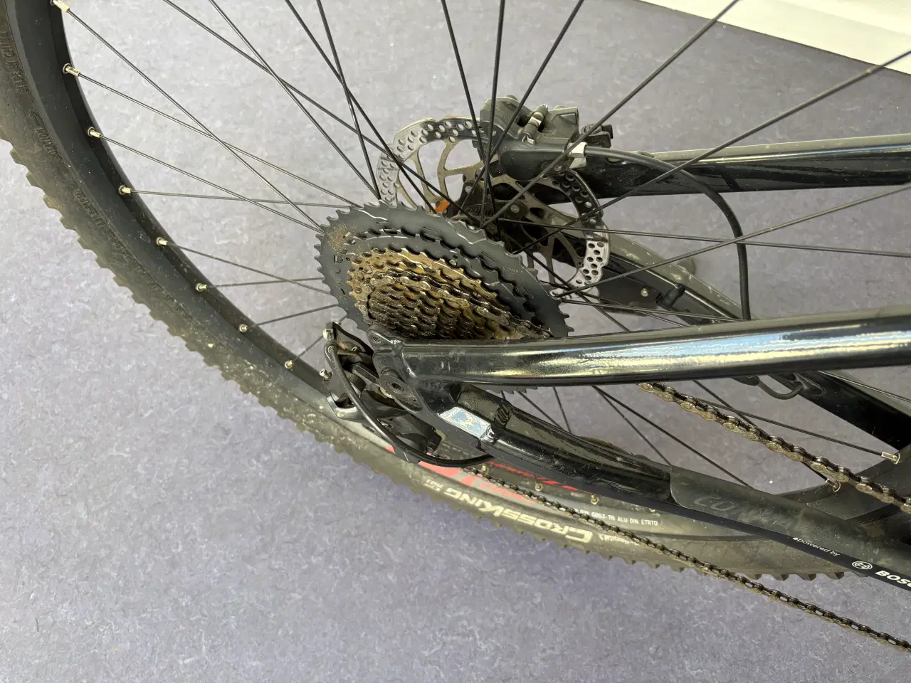 Billede 4 - Flot Conway sælges