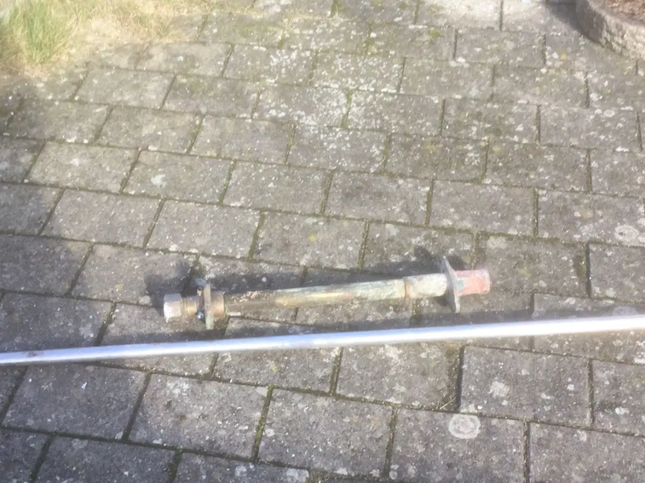 Billede 1 - Stævnrør