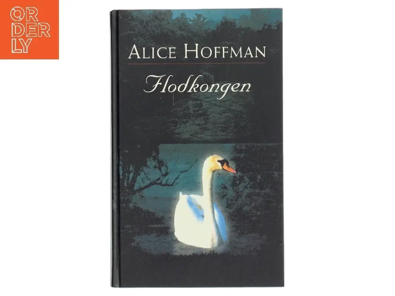Billede 1 - Flodkongen af Alice Hoffman (Bog)