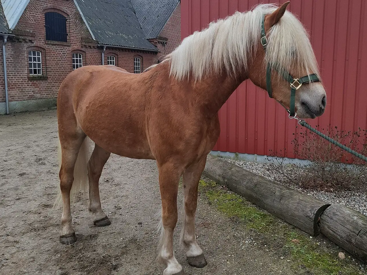 Billede 2 - Vil du ses???