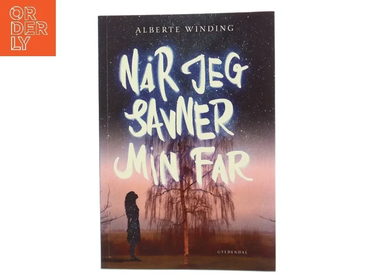 Billede 1 - Når jeg savner min far af Alberte Winding (Bog)