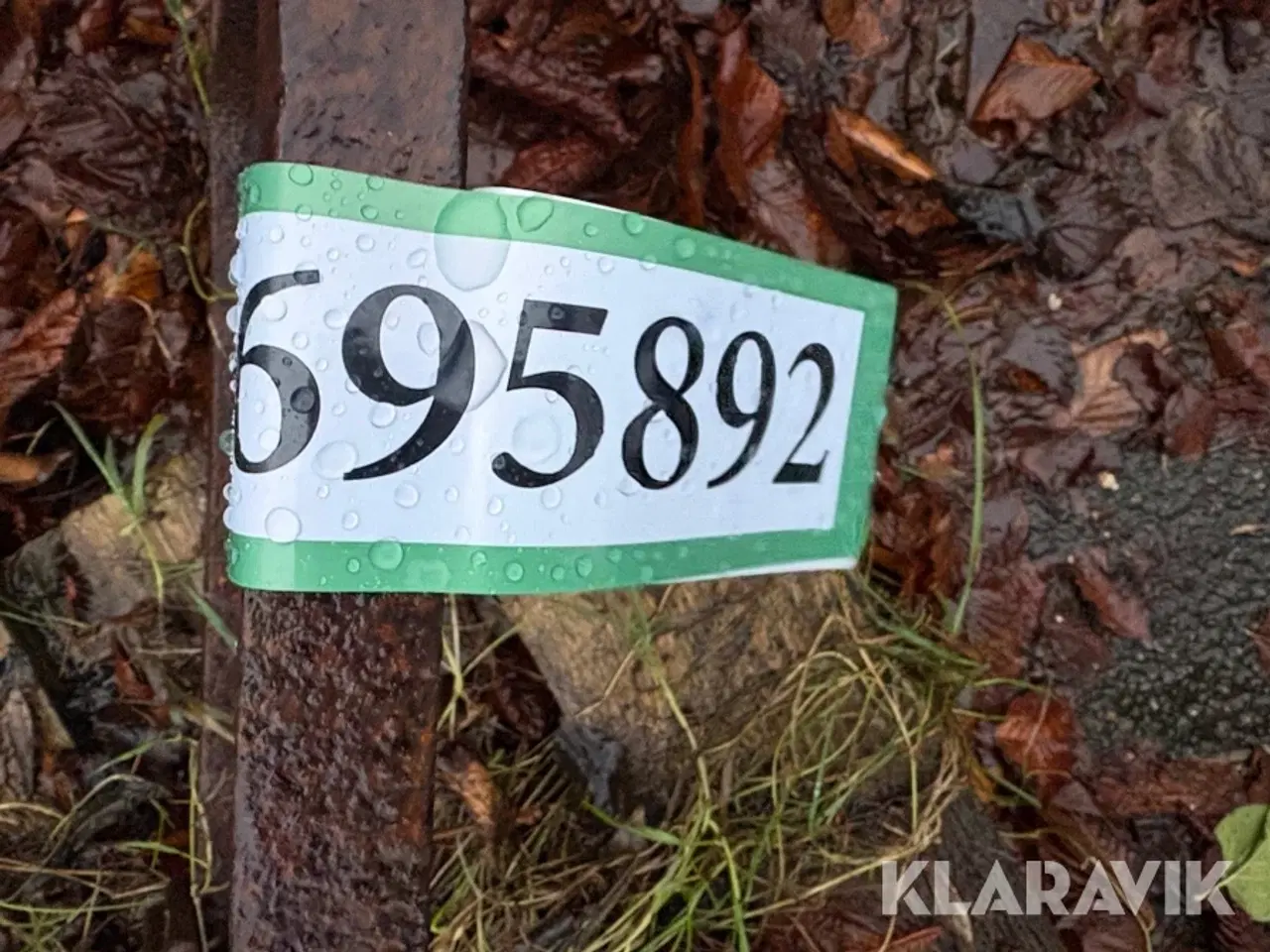 Billede 10 - Tallerkenharver