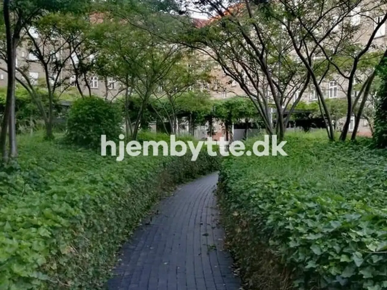 Billede 1 - Hjembytte - Borgbjergsvej