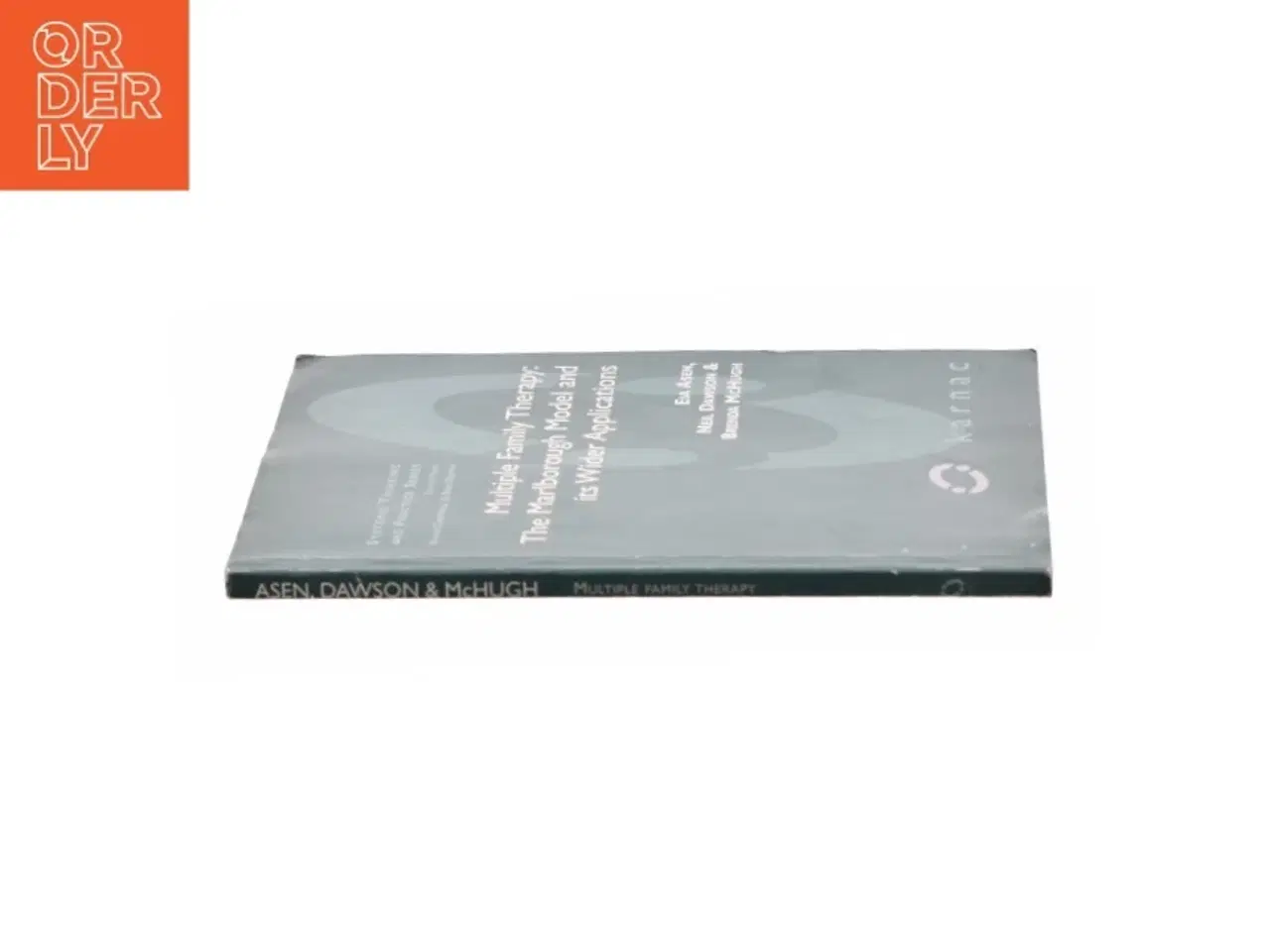 Billede 2 - Multiple family therapy : the Marlborough model and its wider applications (Bog)