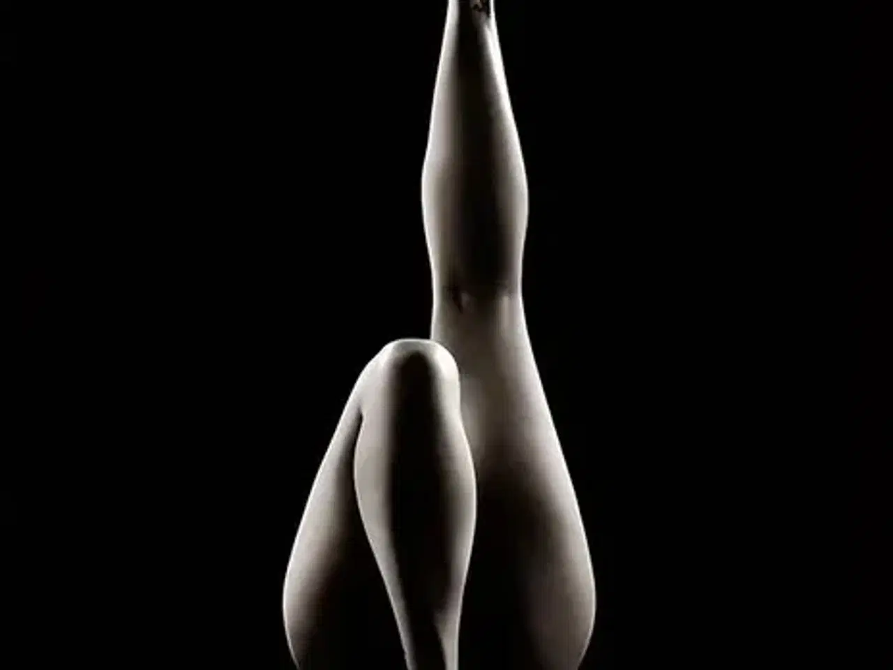 Billede 1 - * Lærredsmaleri; Gymnastic