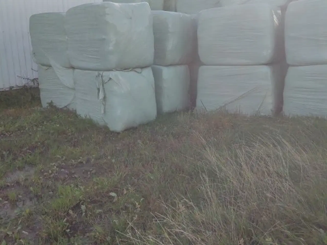 Billede 3 - Wrap hø sælges