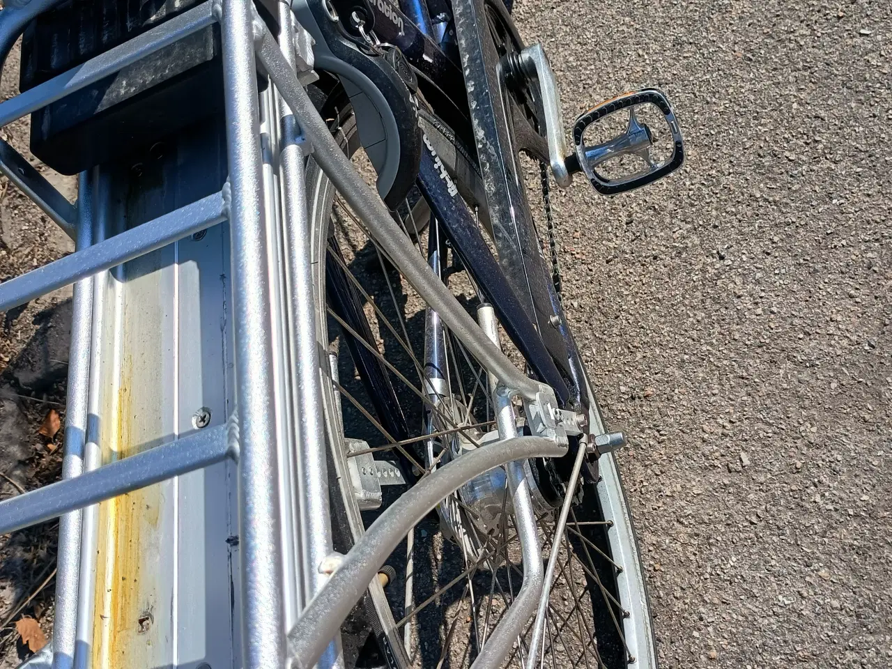 Billede 9 - Elvira Madigan New Generation.