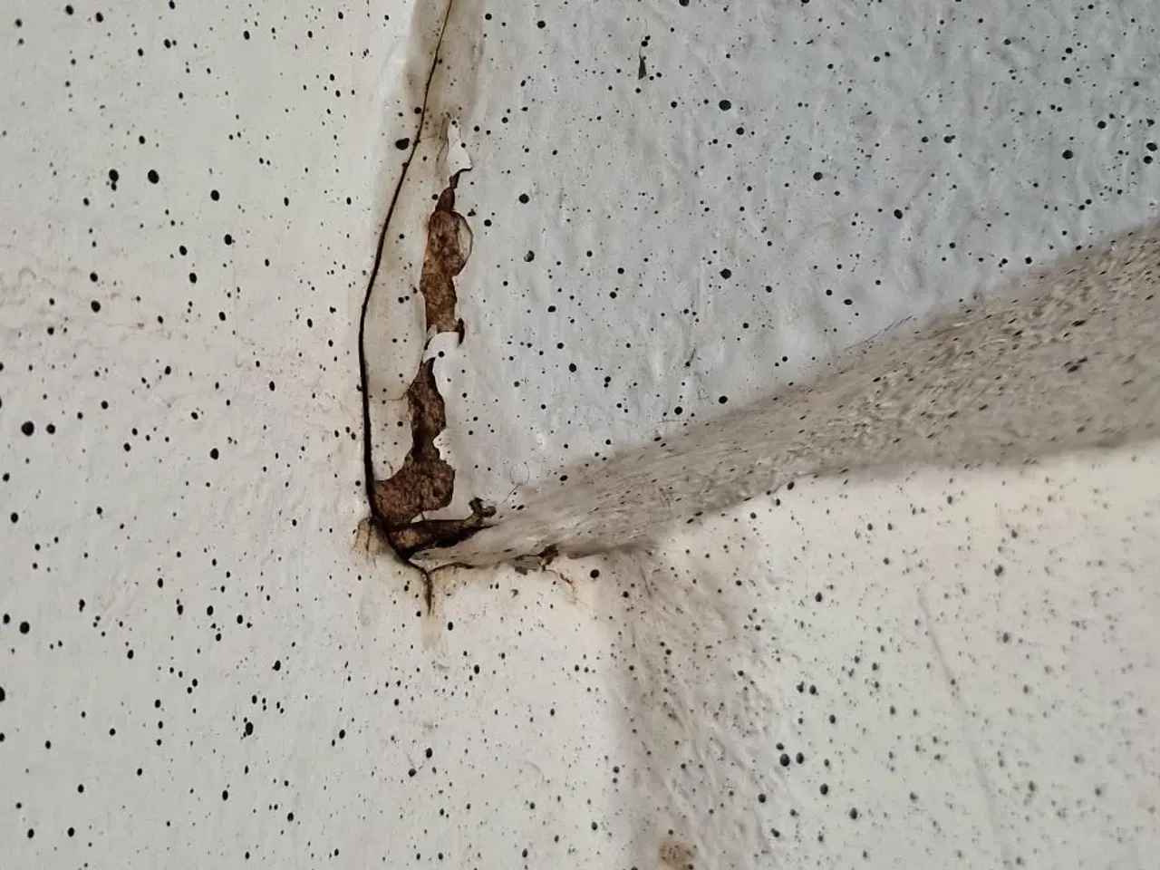 Billede 6 - Jolle Poca 3,0m /10F synkfri med stålskinne