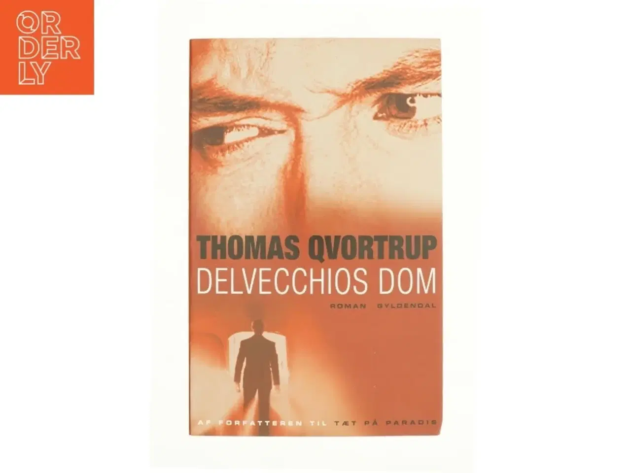 Billede 1 - Delvecchios dom af Thomas Qvortrup (Bog)