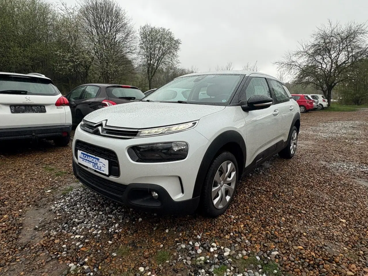 Billede 1 - Citroën C4 Cactus 1,2 PureTech 130 Iconic
