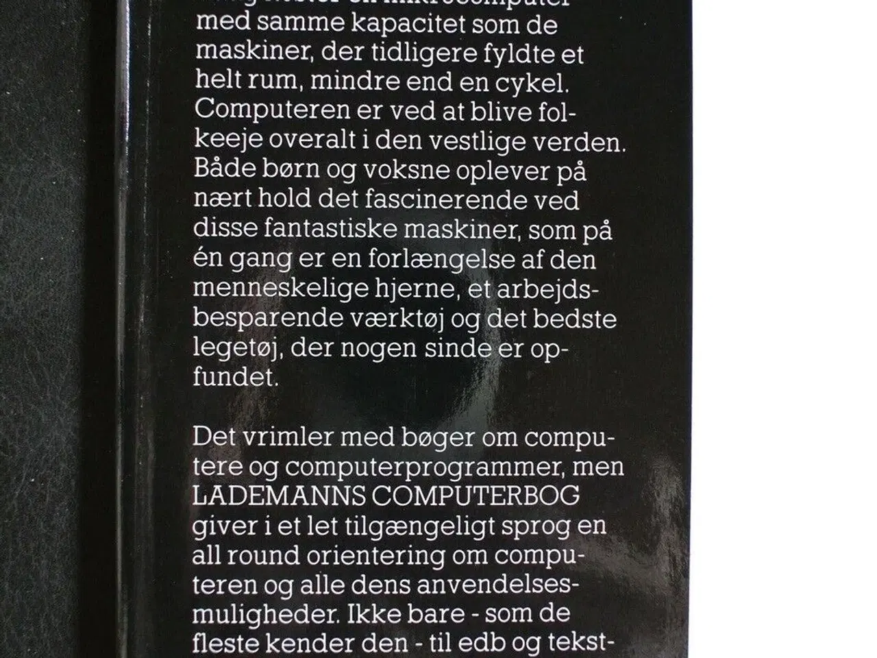 Billede 3 - lademanns computerbog, af peter laurie