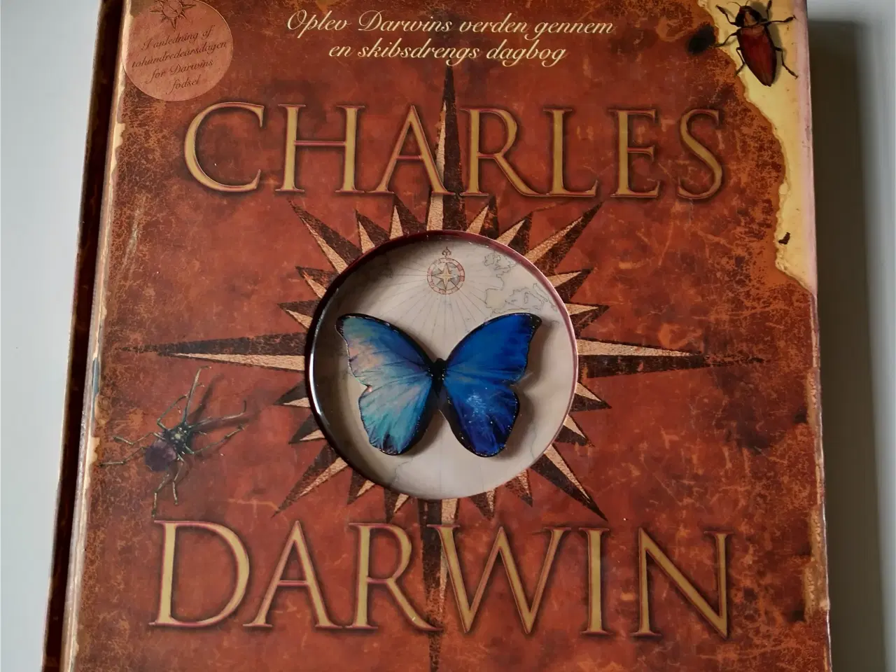 Billede 1 - Charles Darwin. Af Alan Gibbons