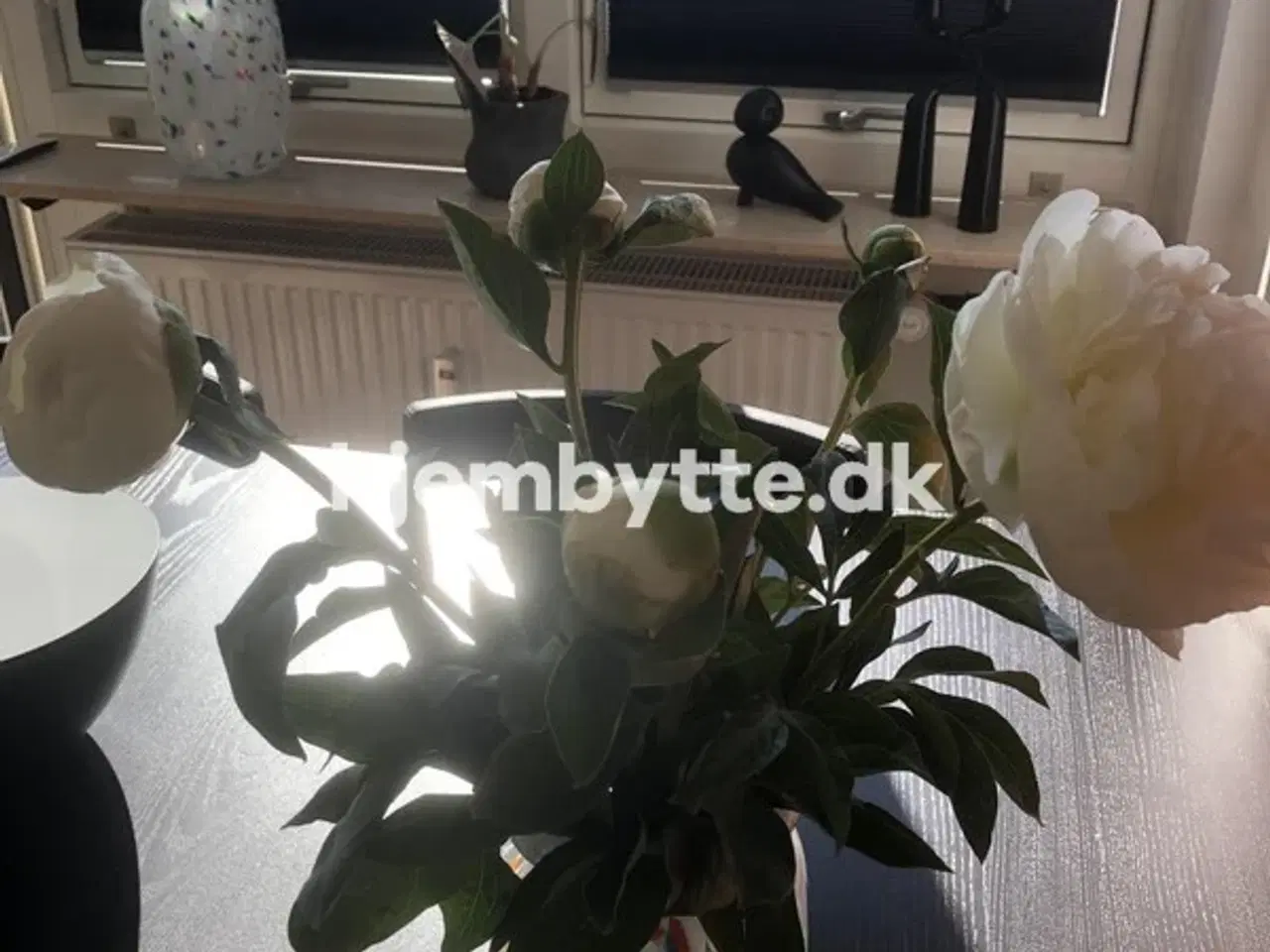 Billede 1 - Hjembytte - Kobbervej