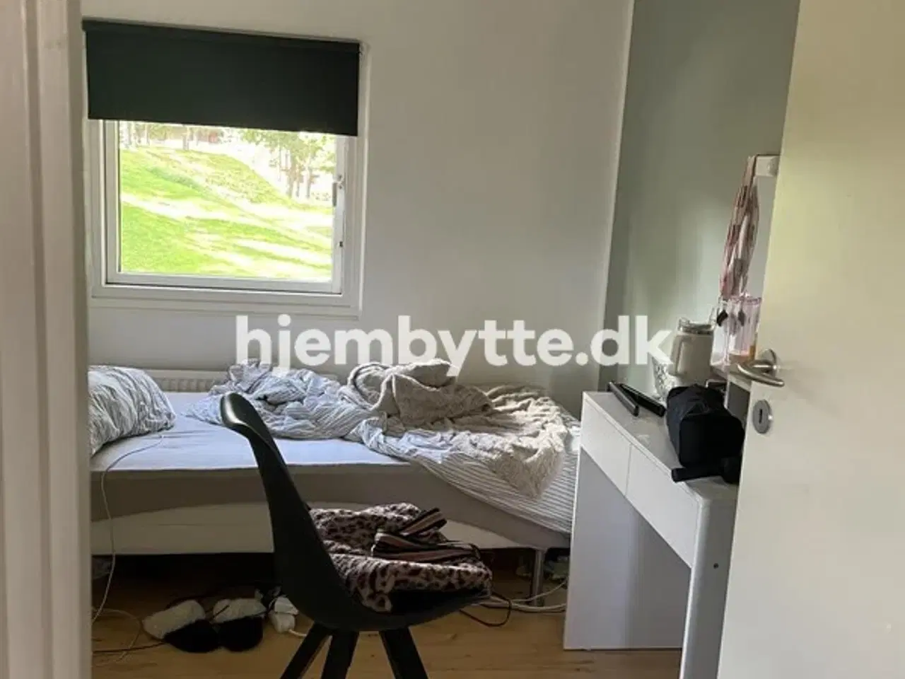 Billede 11 - Hjembytte - Ingefærhaven