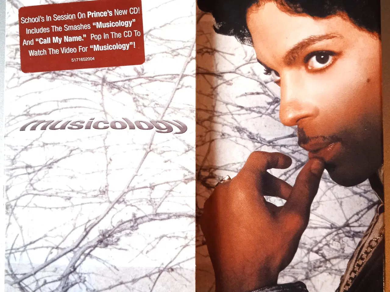Billede 1 - Prince: Musicology