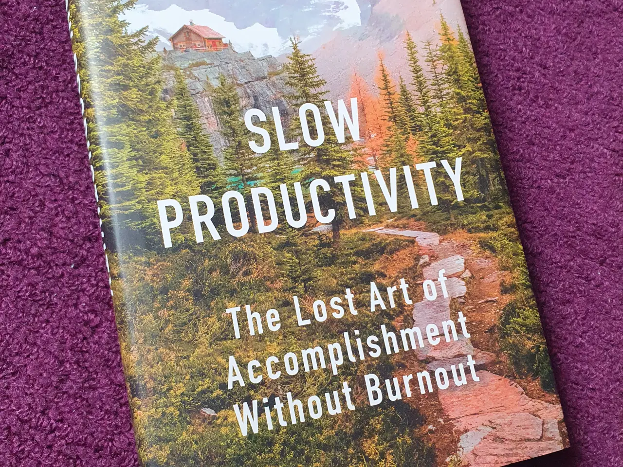 Billede 1 - Slow Productivity af Cal Newport