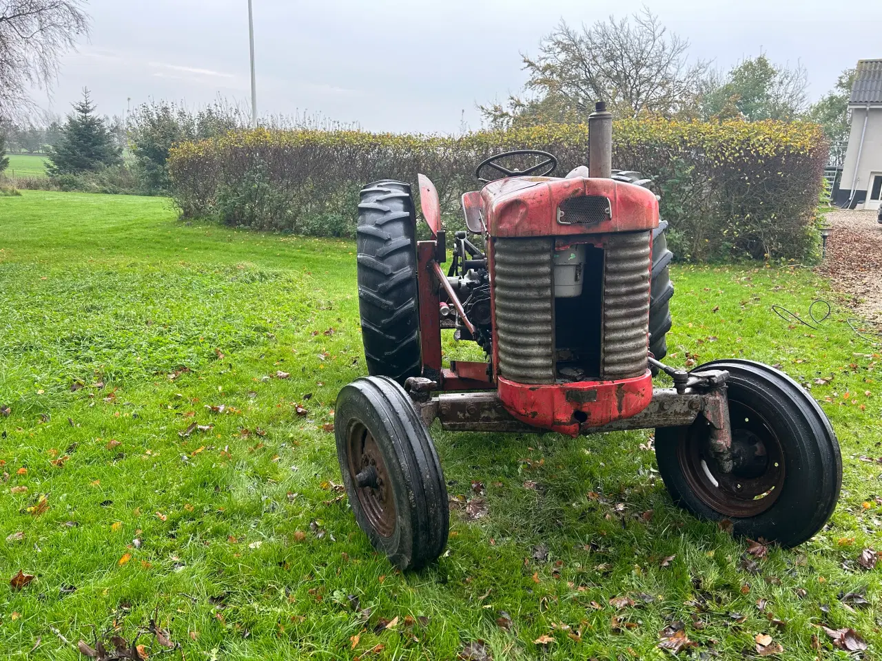 Billede 3 - Massey Ferguson 65