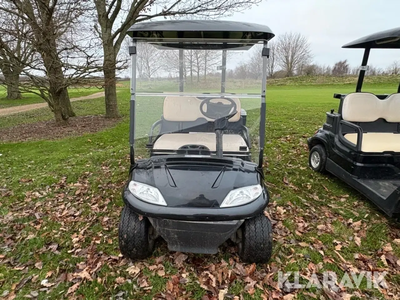 Billede 7 - Golfvogn Zodiac LT-A627.2 Buggy 1 styk