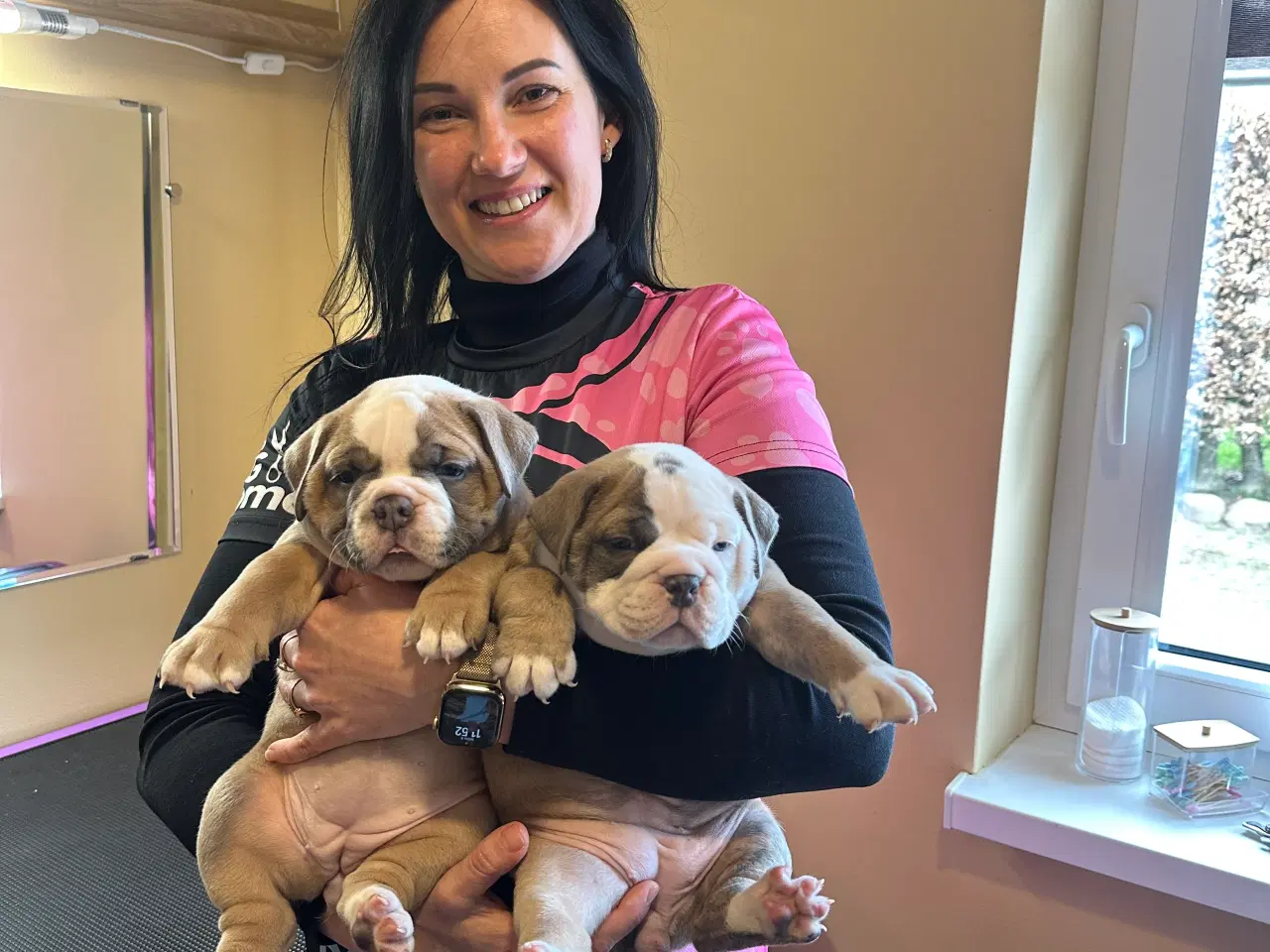 Billede 1 - Old English Bulldog 