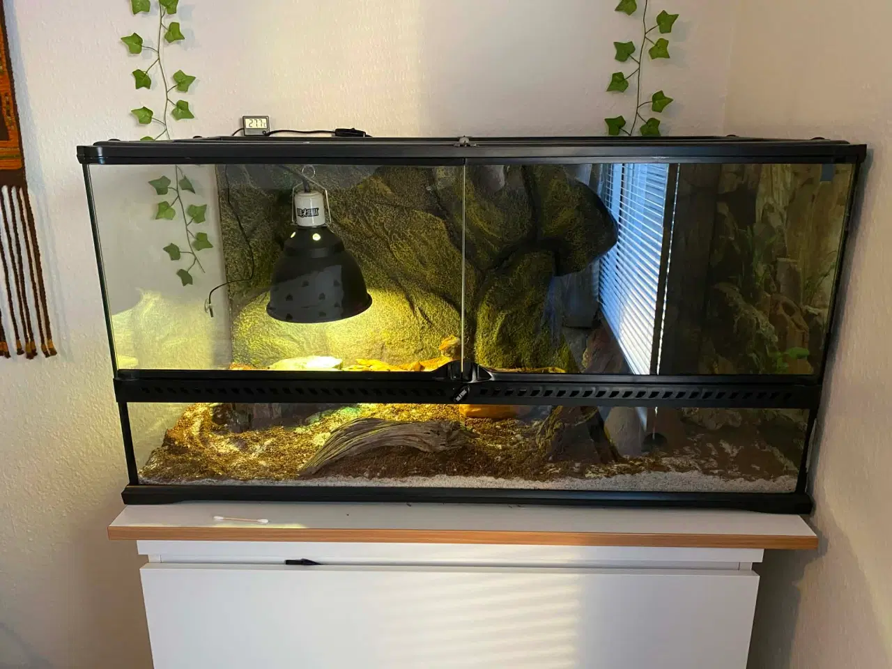 Billede 1 - Terrarium