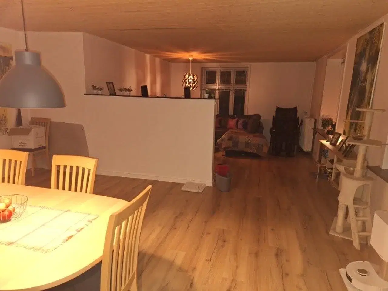 Billede 36 - Udlejningsejendom i Hjørring kommune sælges