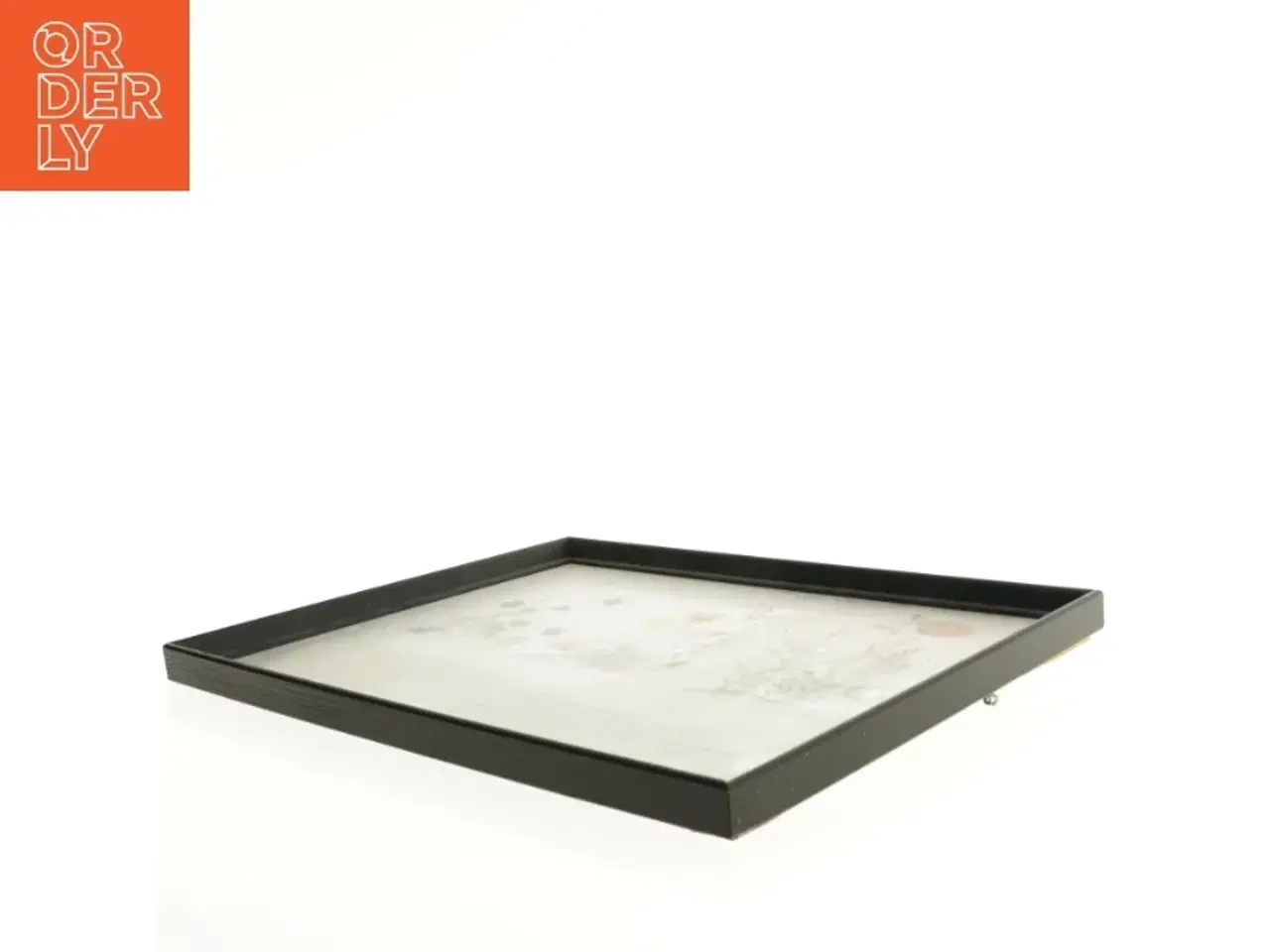 Billede 2 - Indrammet botanisk plakat (str. 40 x 30,5 cm)