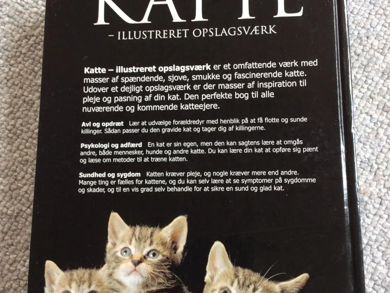 Billede 2 - Bog om katte 