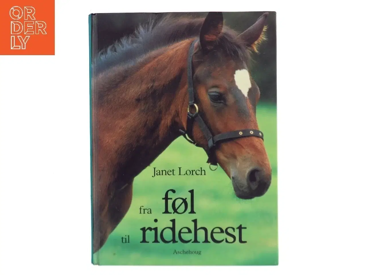Billede 1 - Fra føl til ridehest af Janet Lorch (Bog)