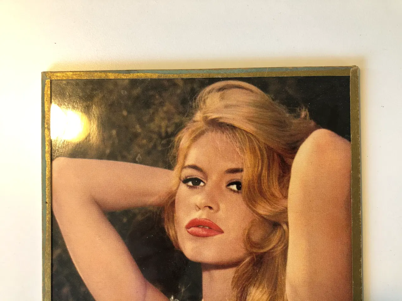 Billede 3 - Billede af Brigitte Bardot