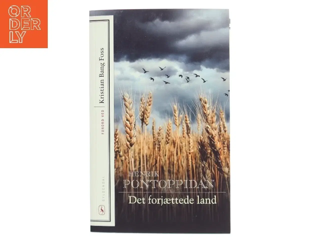 Billede 1 - Det forjættede land af Henrik Pontoppidan (Bog)