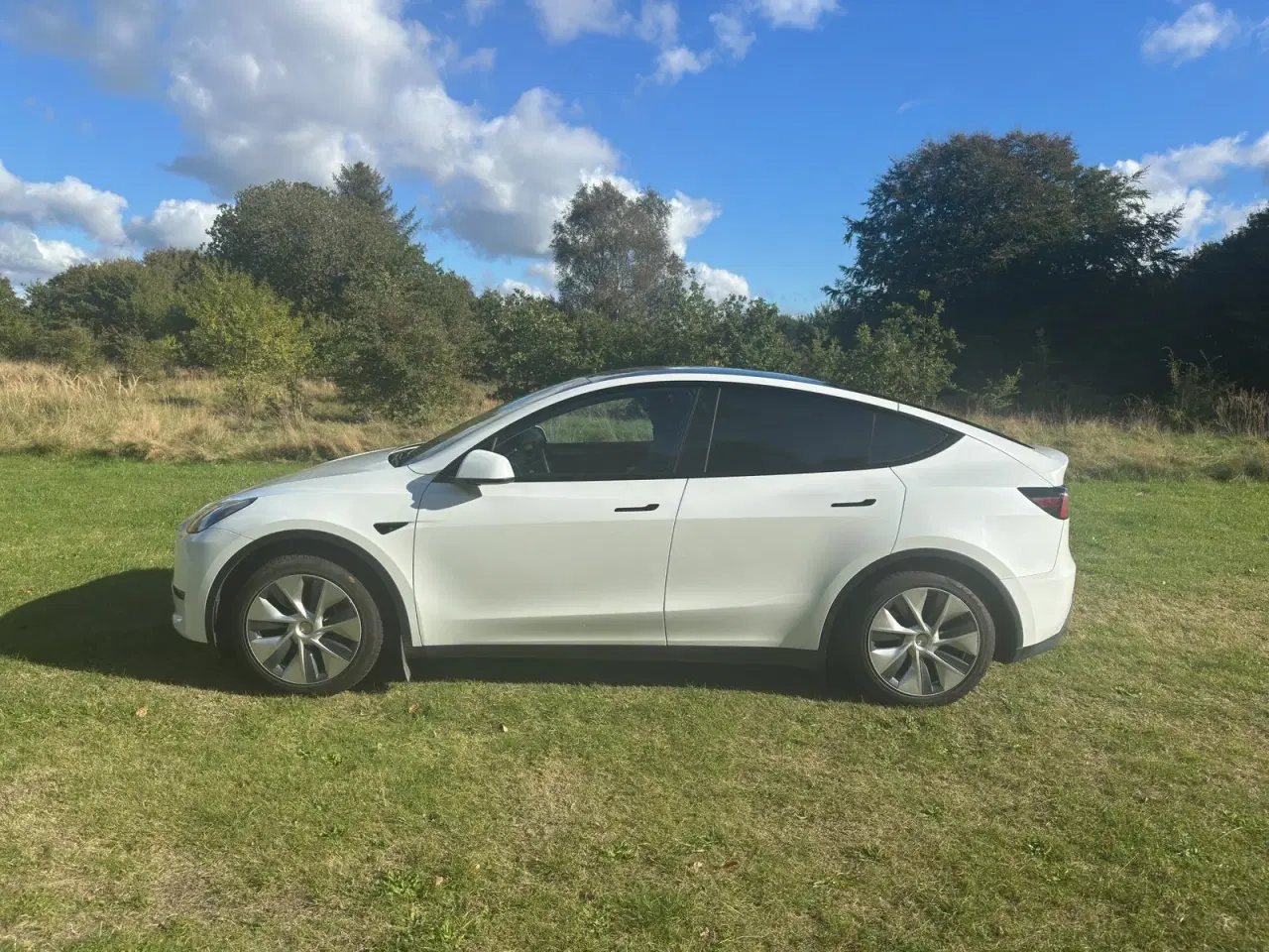 Billede 8 - Tesla Model Y  RWD