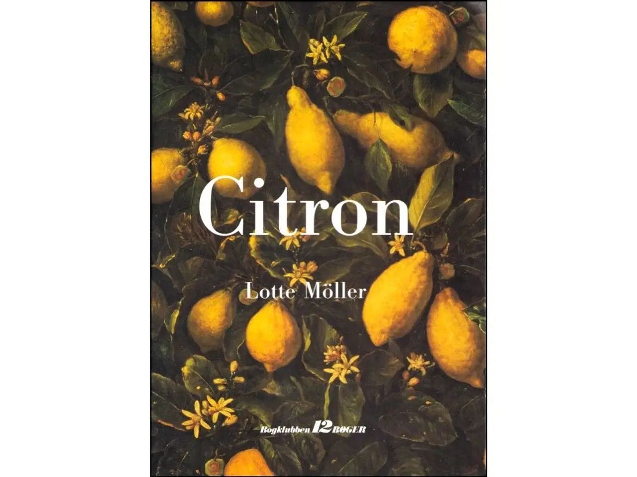 Billede 1 - Citron