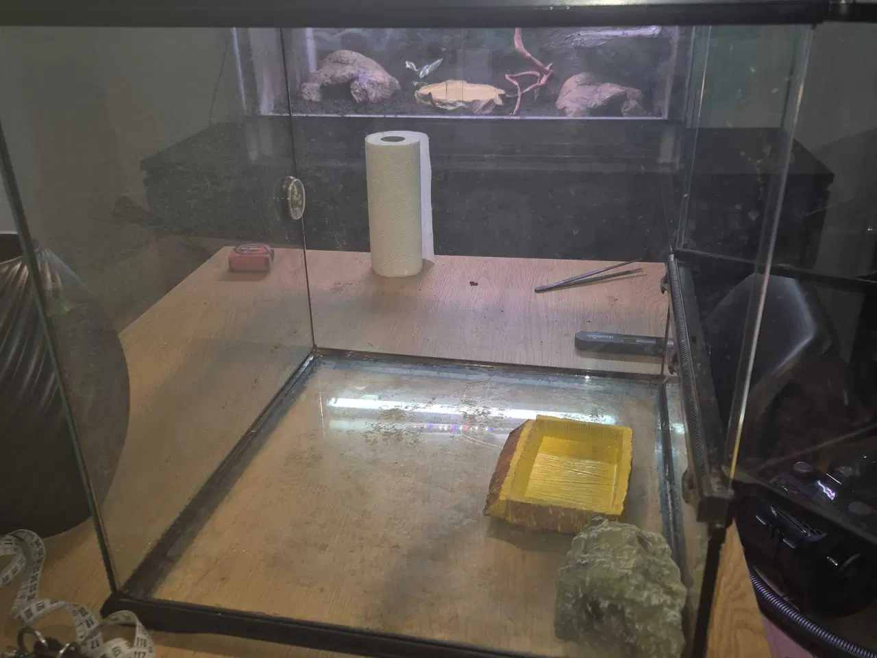 Billede 3 - Terrarie 45×45×45