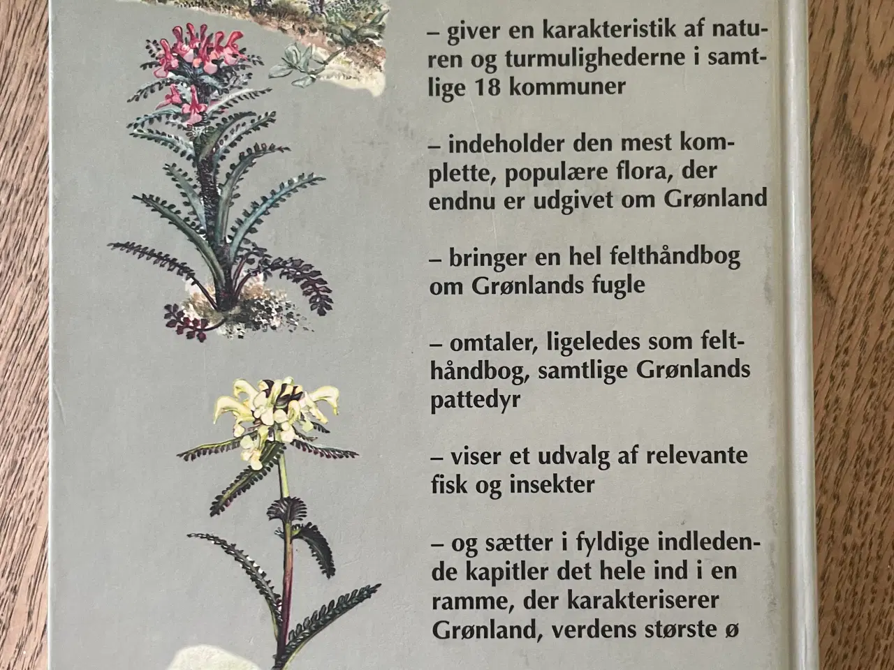 Billede 2 - Grønlands natur - en rejsehåndbog, Benny Génsbøl