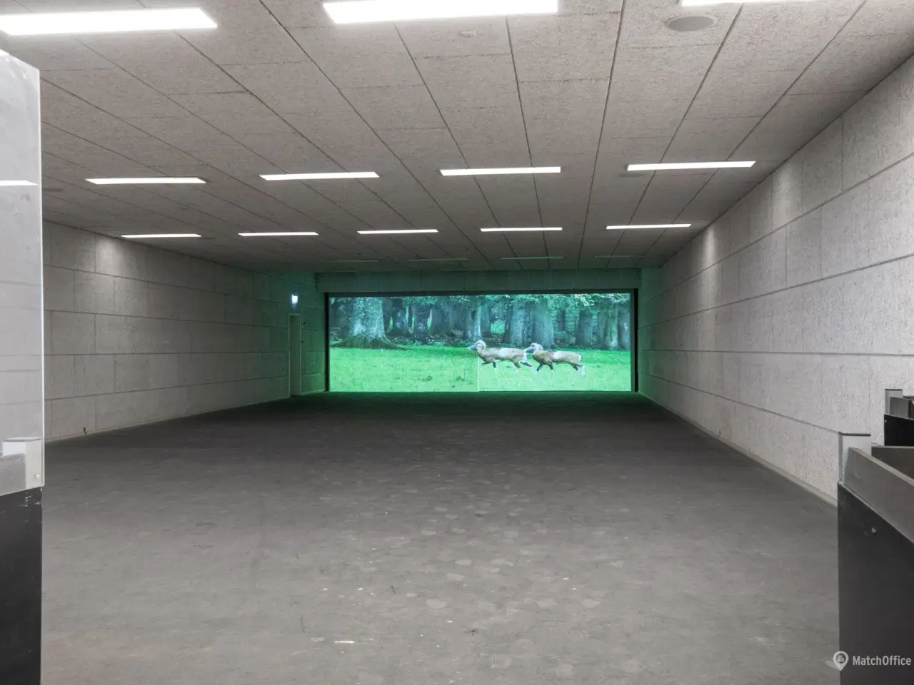 Billede 11 - 1509-4: Roholmsvej 4A, 2620 Albertslund - 2074 m2