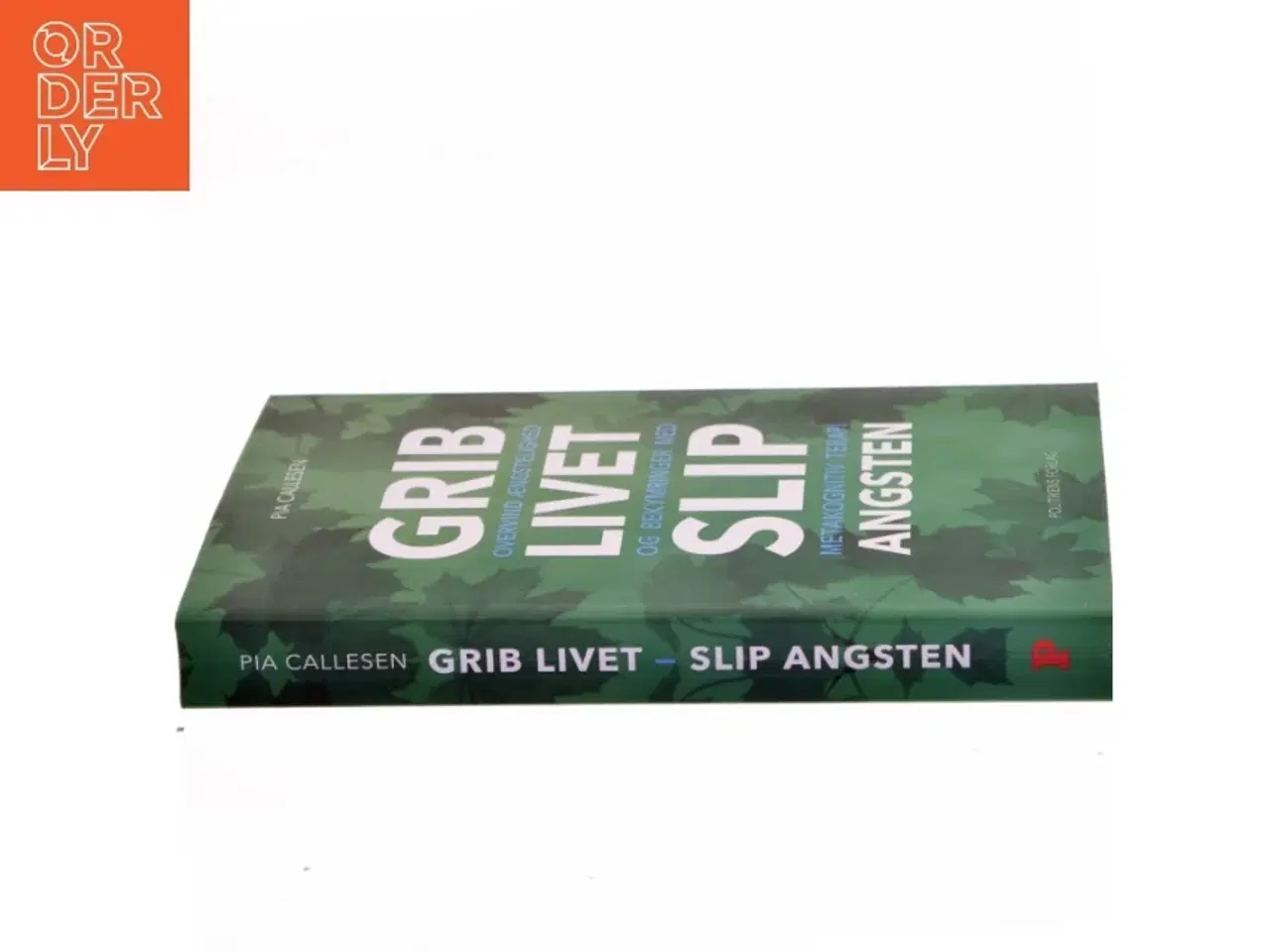 Billede 2 - Grib livet - slip angsten : overvind ængstelighed og bekymringer med metakognitiv terapi af Pia Callesen (Bog)