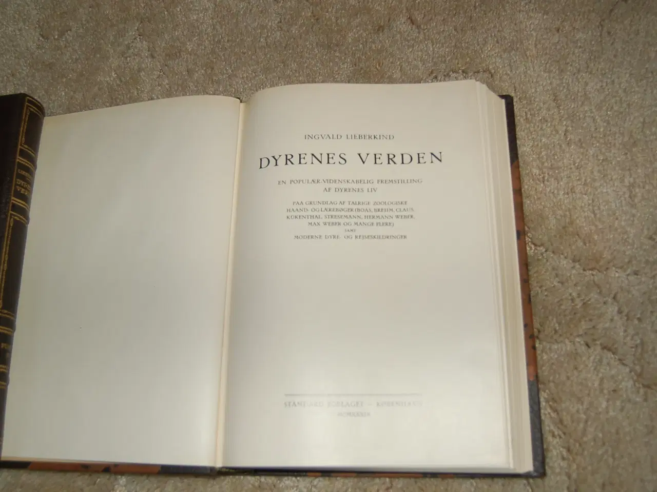 Billede 4 - Ingvard Lierkind