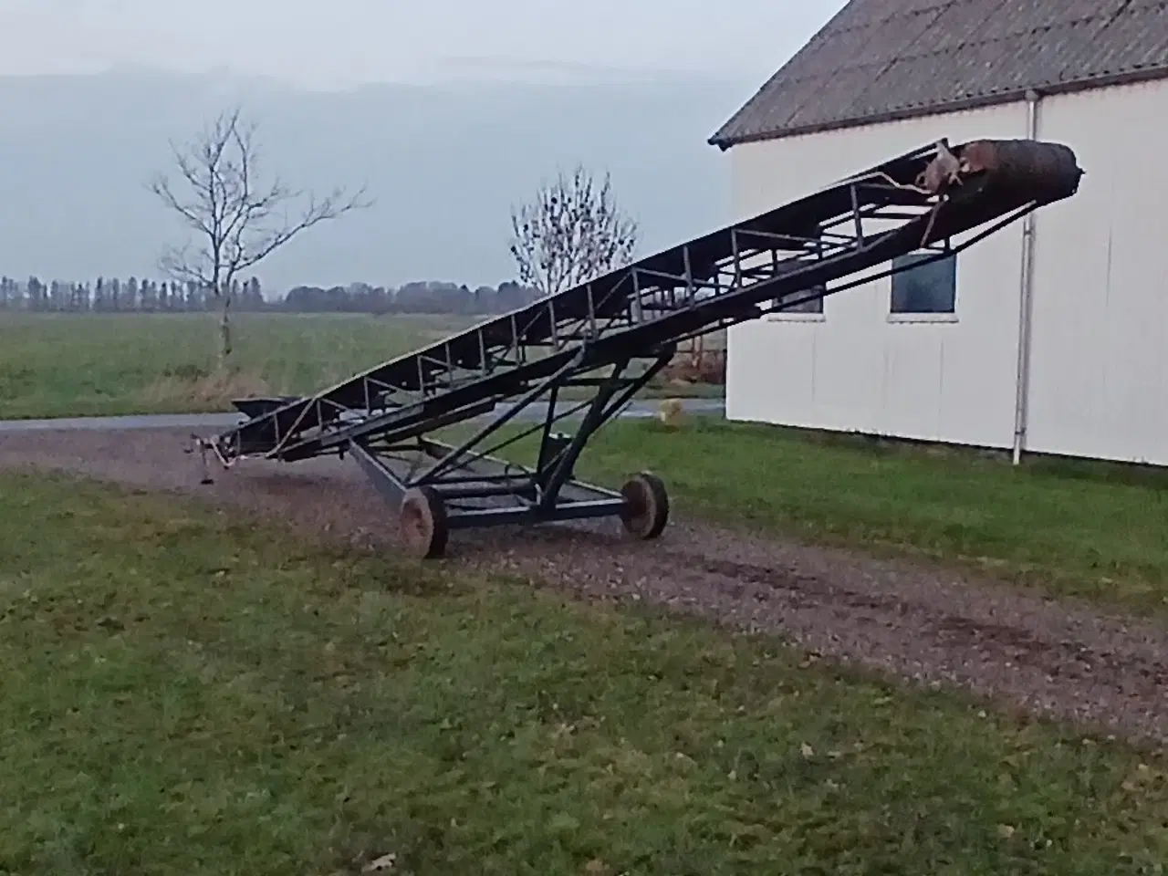 Billede 1 - Gummitransportbånd