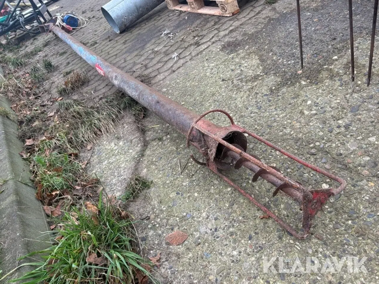 Billede 3 - Kornsnegl