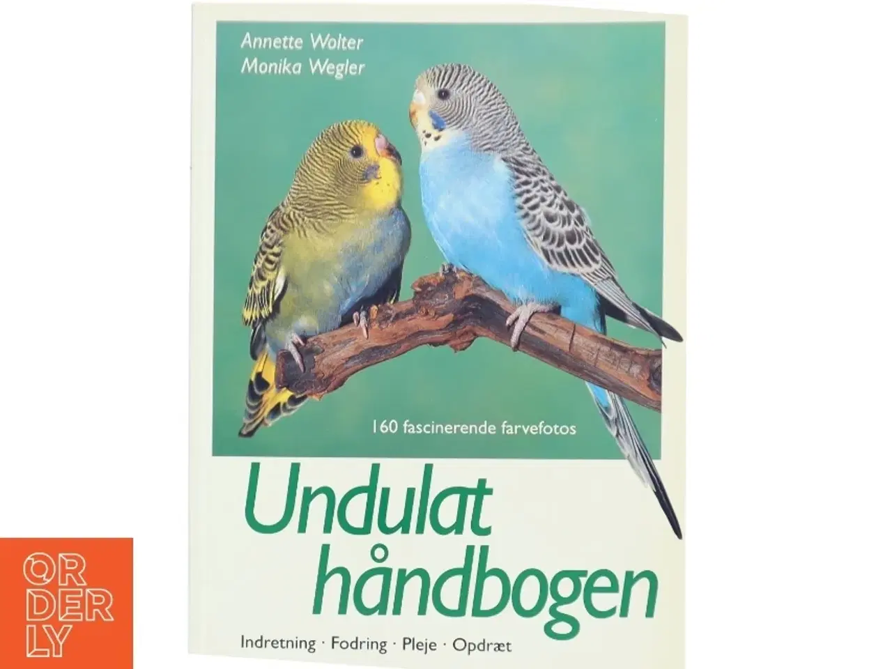 Billede 1 - Undulathåndbogen : 160 fascinerende farvefotos : indretning, fodring, pleje, opdræt (Bog)
