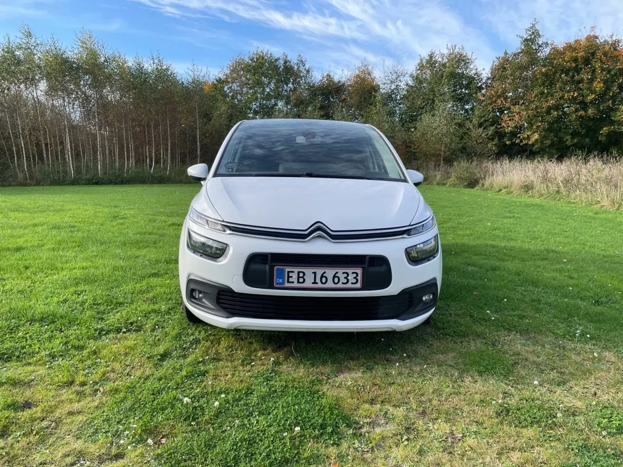 Billede 2 - Citroën Grand C4 SpaceTourer 1,5 BlueHDi 130 Cool 7prs