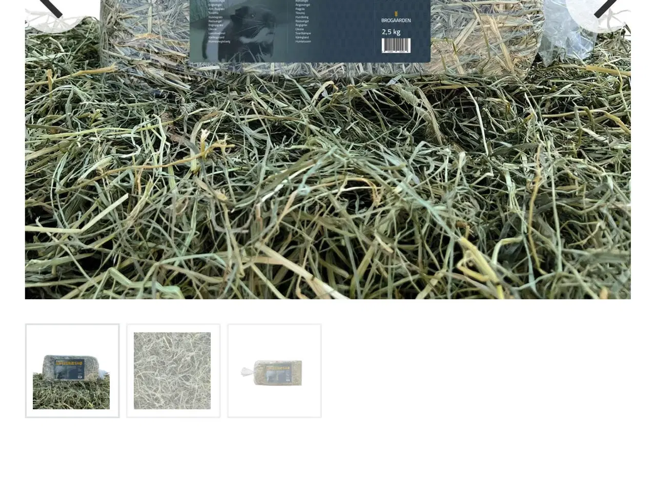 Billede 5 - Marsvin han 