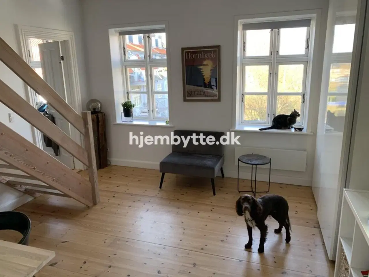 Billede 15 - Hjembytte - SkydebaneAlle
