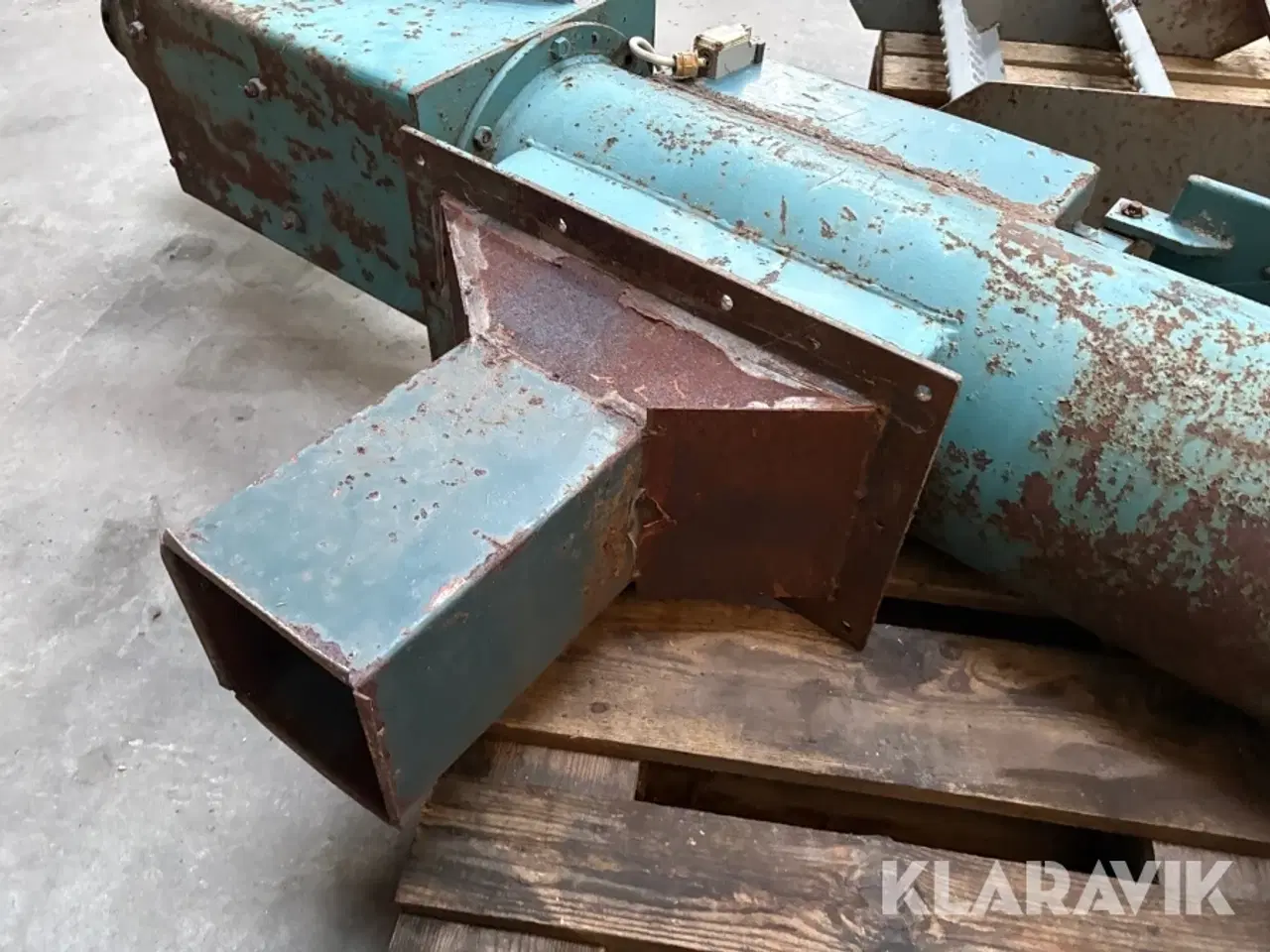 Billede 8 - Kornsnegl