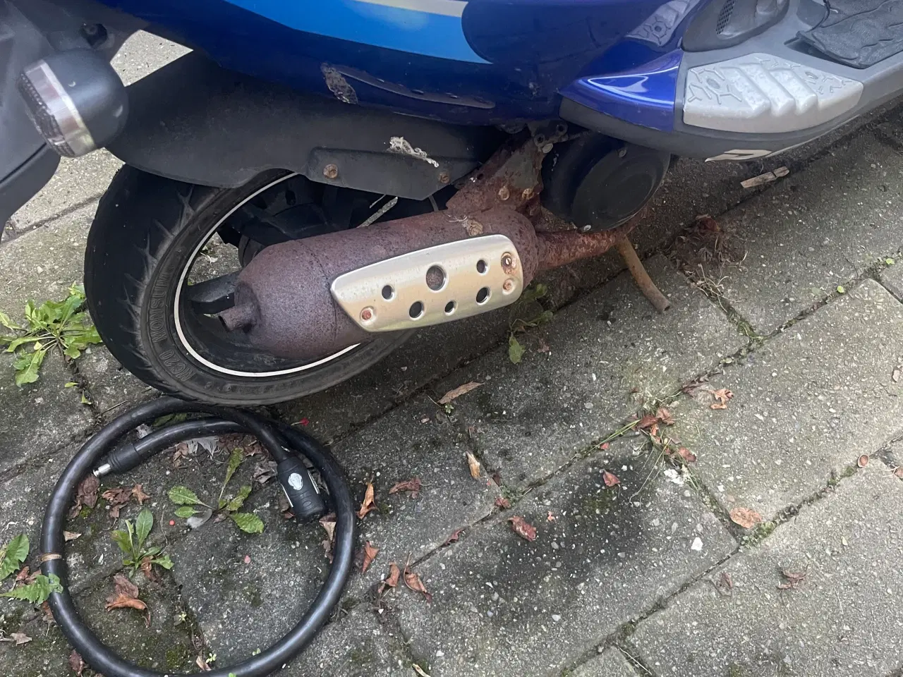 Billede 3 - Scooter t-rex (giv et bud)