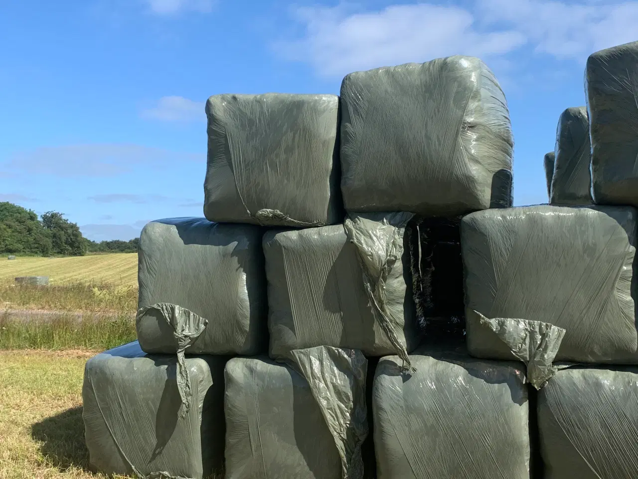 Billede 5 - Heste wrap 